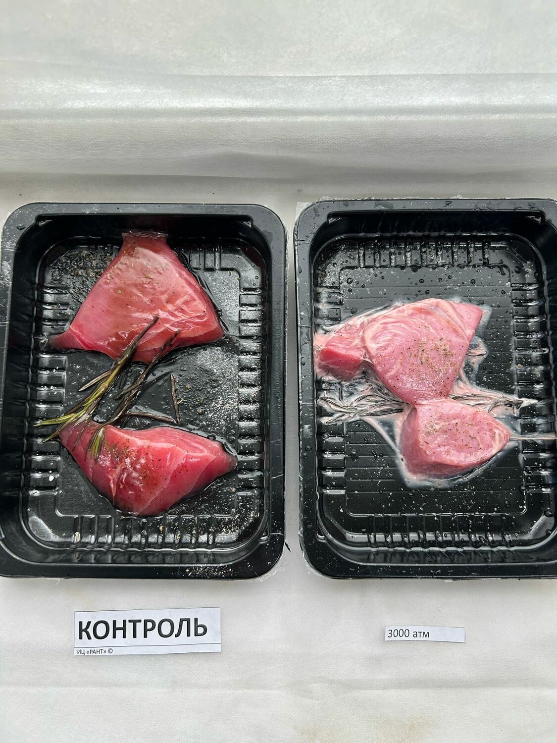 Проведение экспериментов и исследований&nbsp;